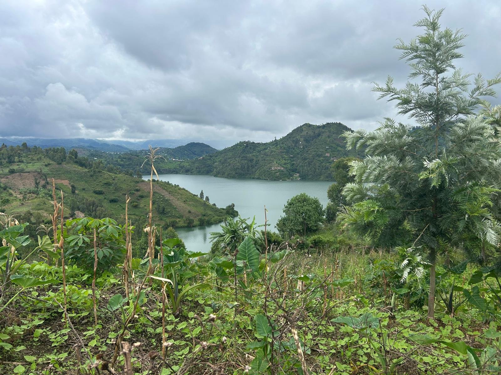 Séjour panoramique au Rwanda