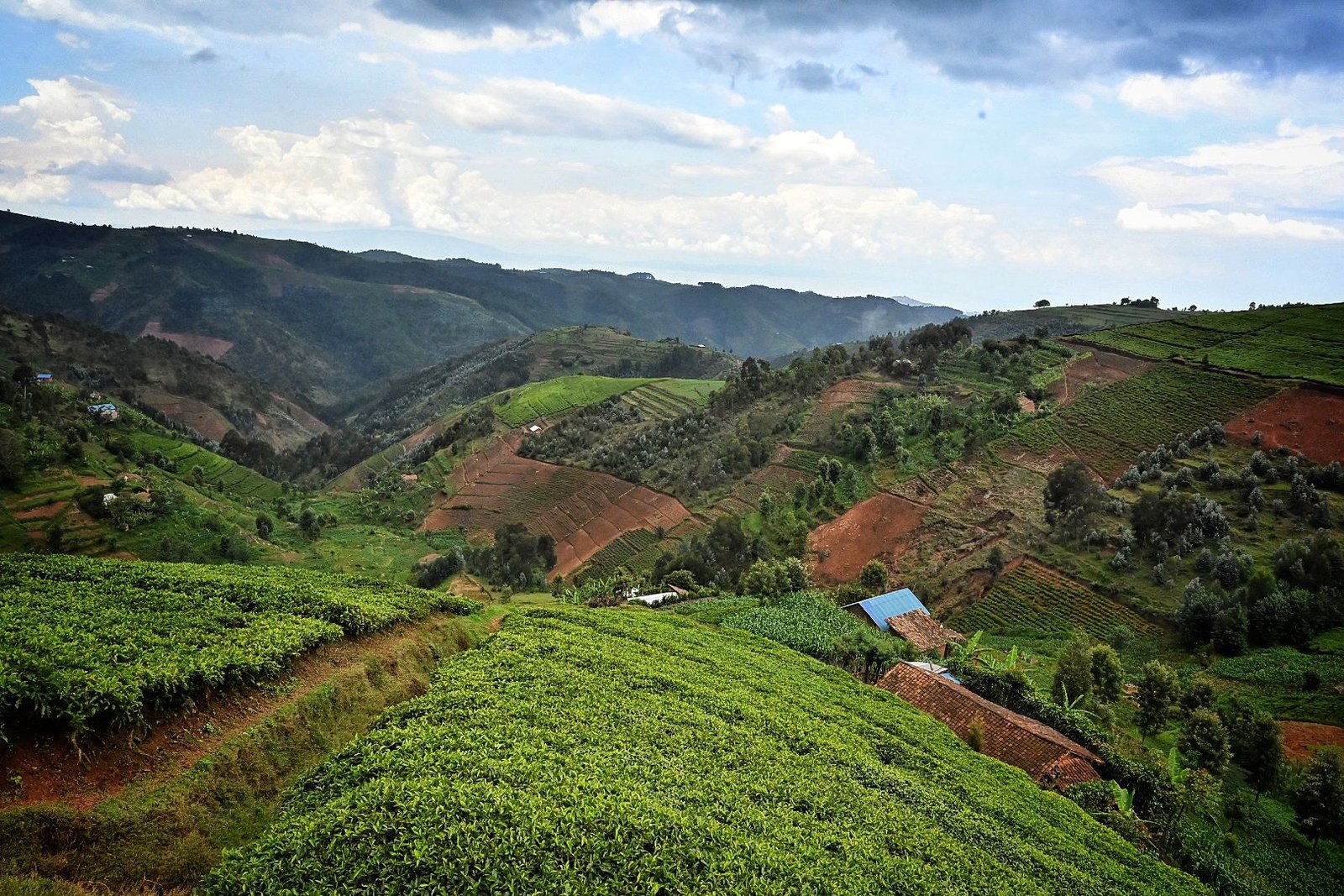 https://africabikediscoveries.com/wp-content/uploads/2026/05/cycling-holiday-Africa.jpg